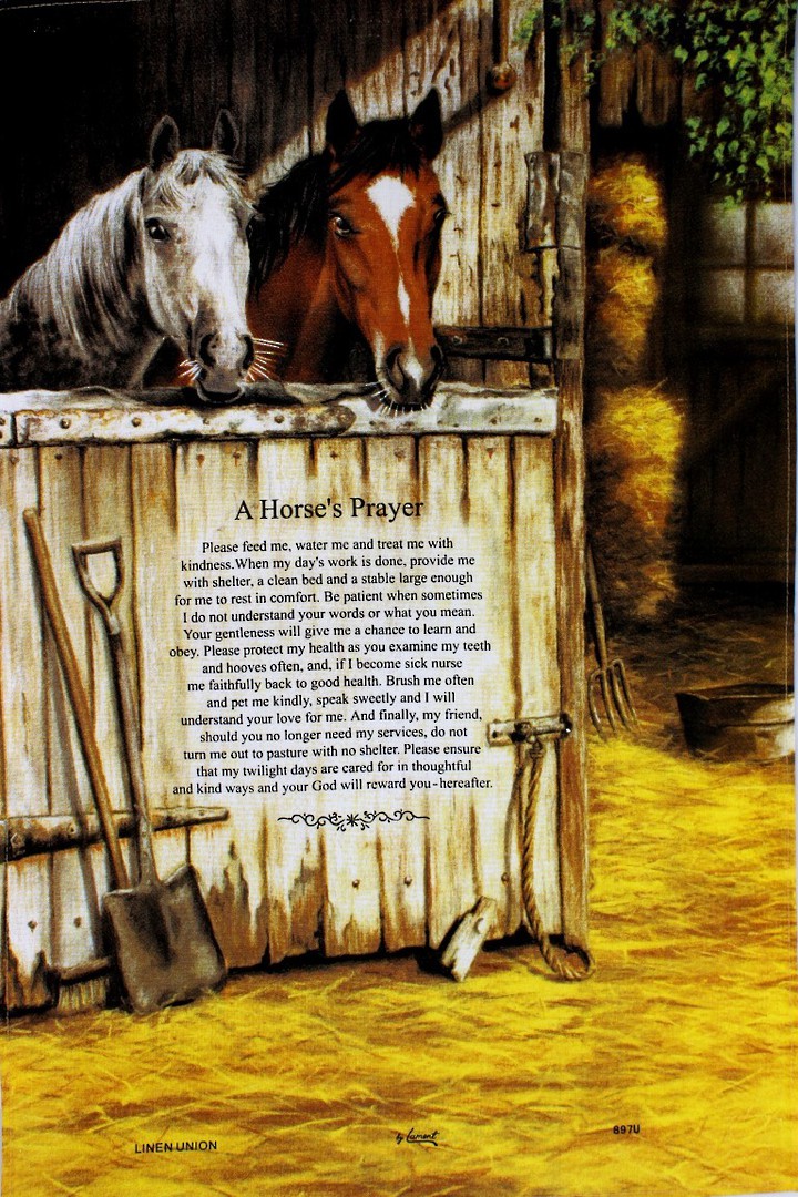 Samuel Lamont 'Horse Prayer' linen tea towel Code: 897U image 0